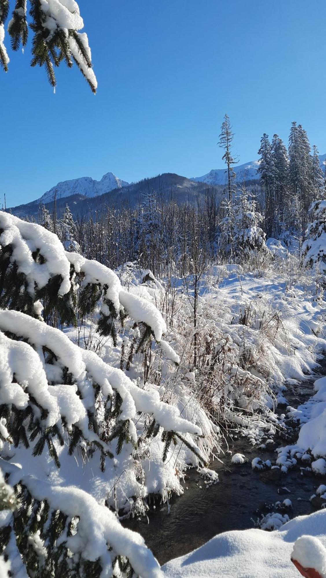 Goralska Chata Przy Dolinie Chocholowskiej วีตุฟ ภายนอก รูปภาพ
