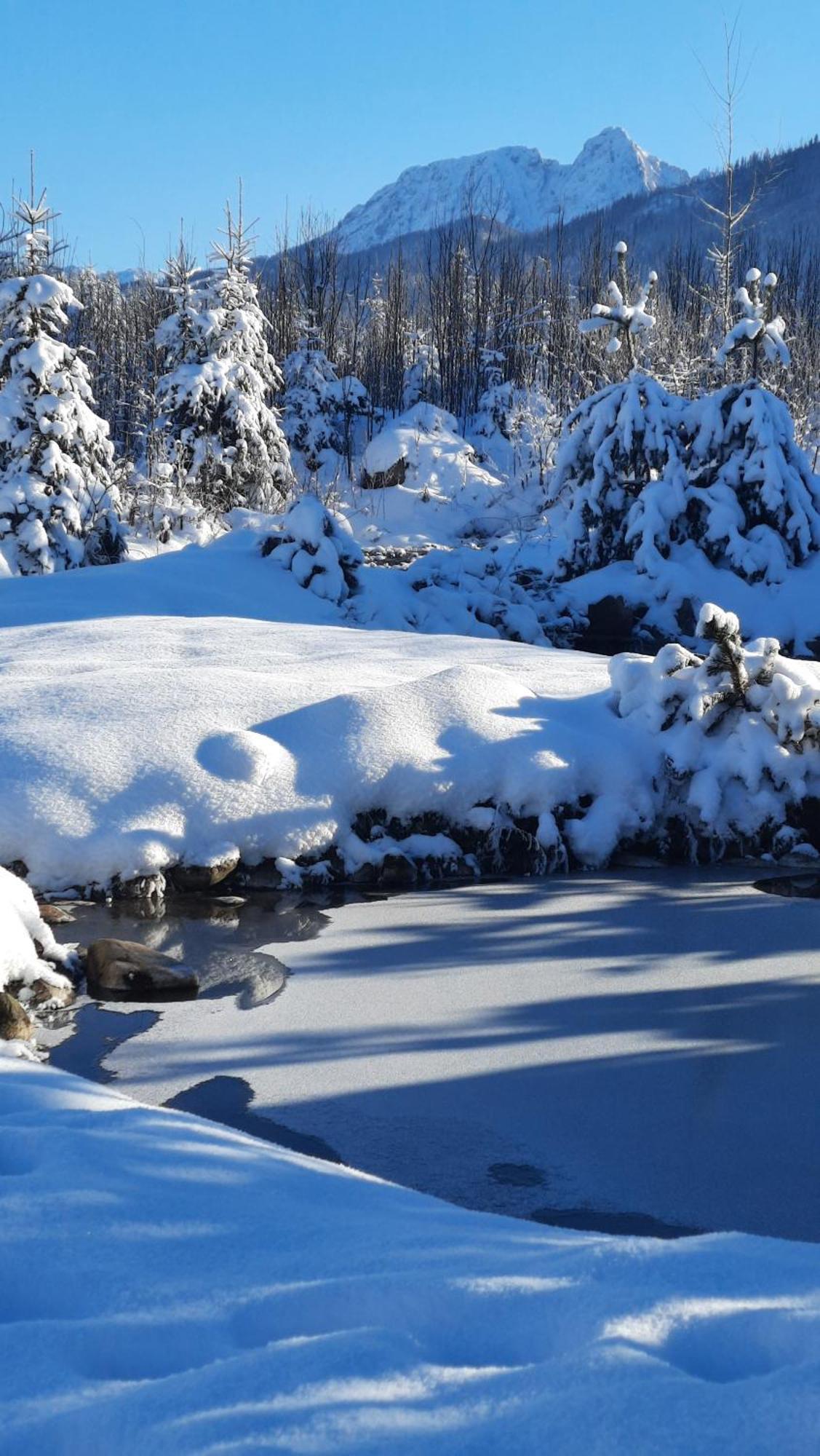Goralska Chata Przy Dolinie Chocholowskiej วีตุฟ ภายนอก รูปภาพ