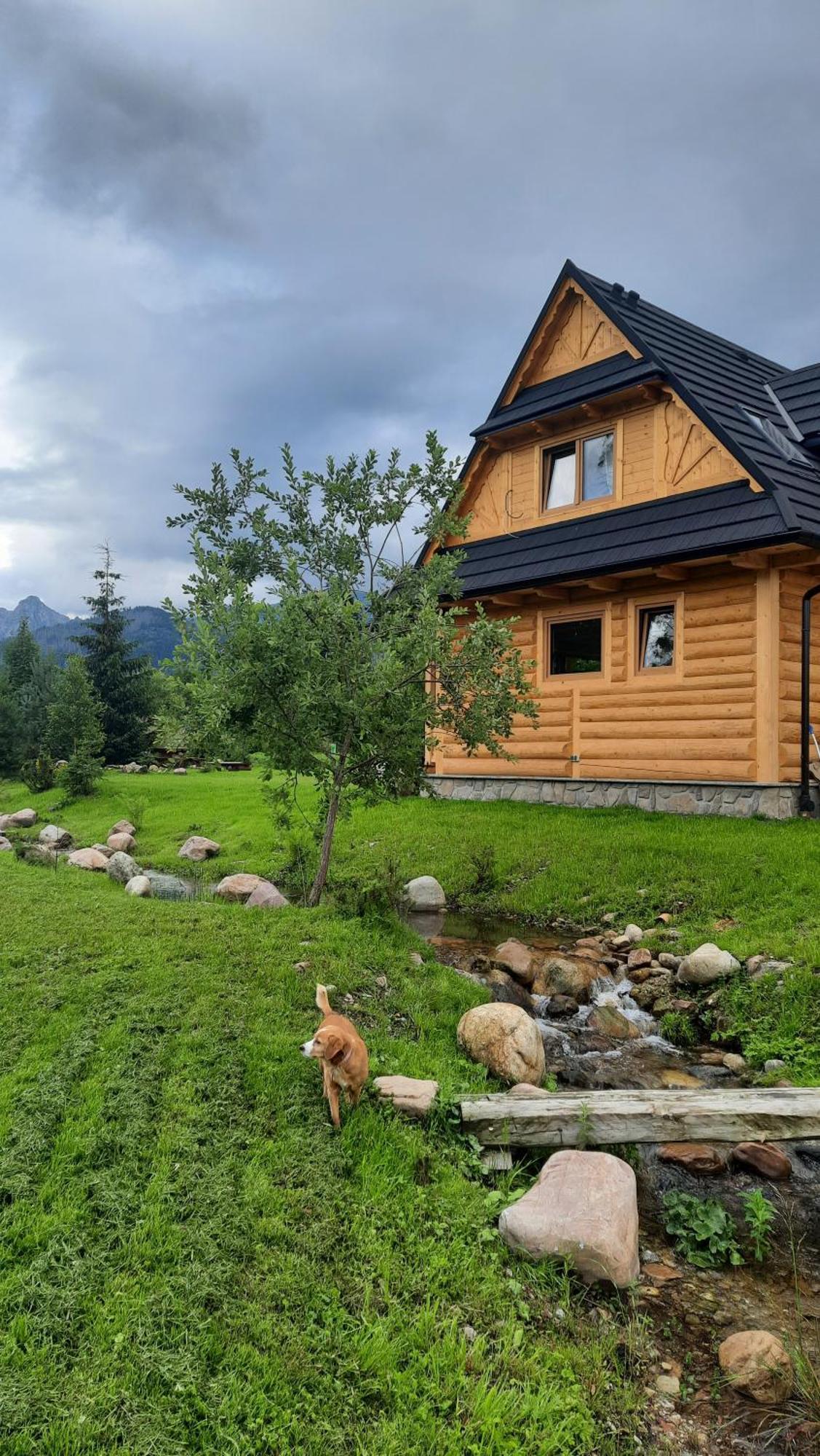 Goralska Chata Przy Dolinie Chocholowskiej วีตุฟ ภายนอก รูปภาพ